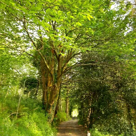 Casa Da Costa De 펜션